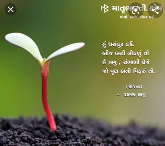 Gujarati Song by Mbhh : 111692797