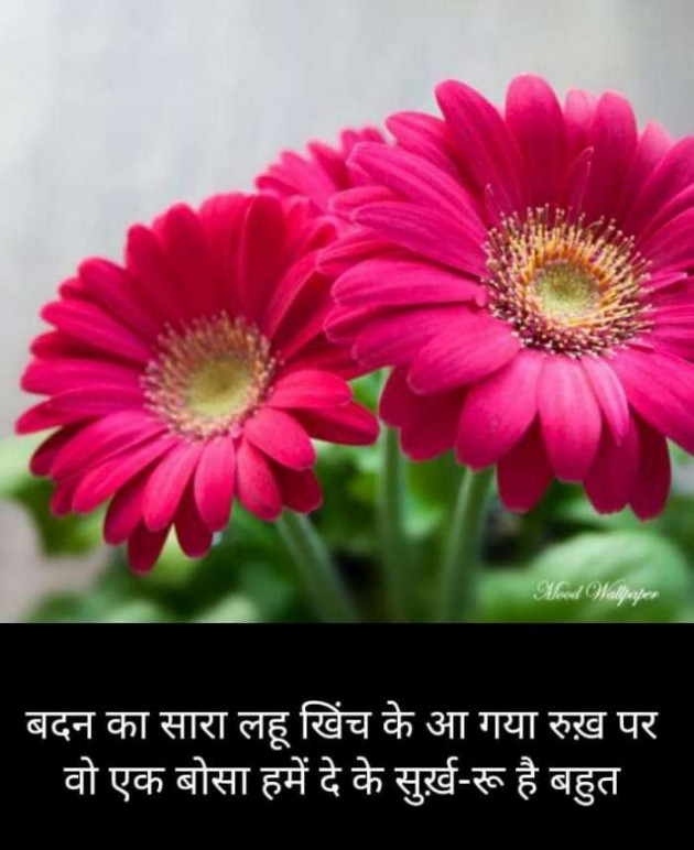 Hindi Blog by Kumar Rahman : 111692994