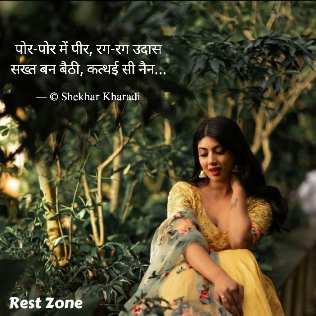 Hindi Blog by shekhar kharadi Idriya : 111693365