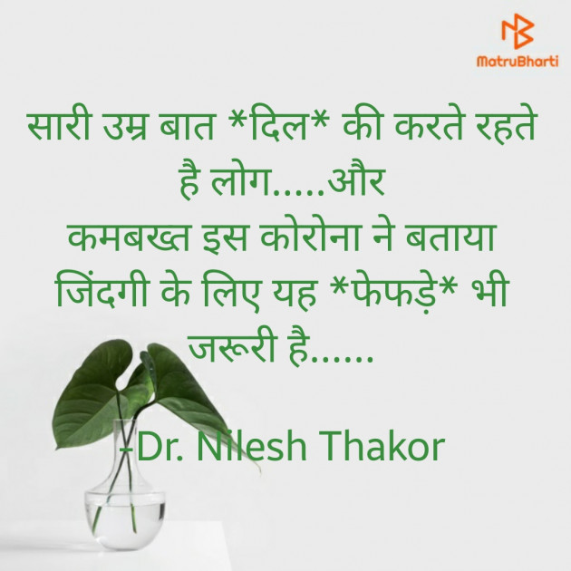 Hindi Funny by Dr. Nilesh Thakor : 111693641