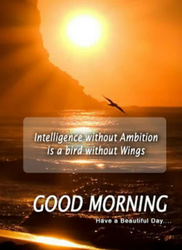 English Good Morning by Ashish 7682 : 111693812