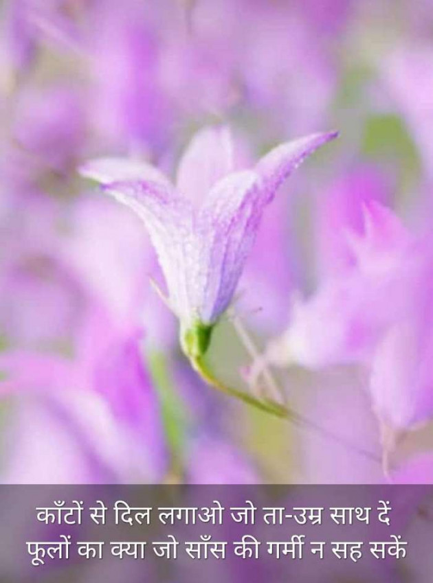 Hindi Blog by Kumar Rahman : 111693878