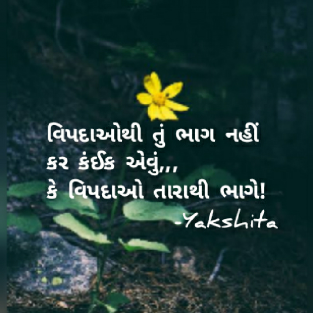 Gujarati Whatsapp-Status by Yakshita Patel : 111694072