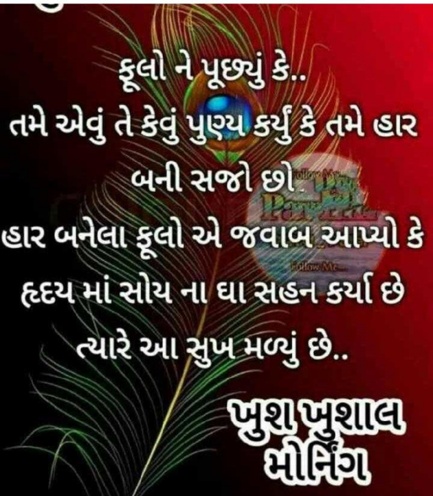 Gujarati Whatsapp-Status by Patel Pradip : 111694774