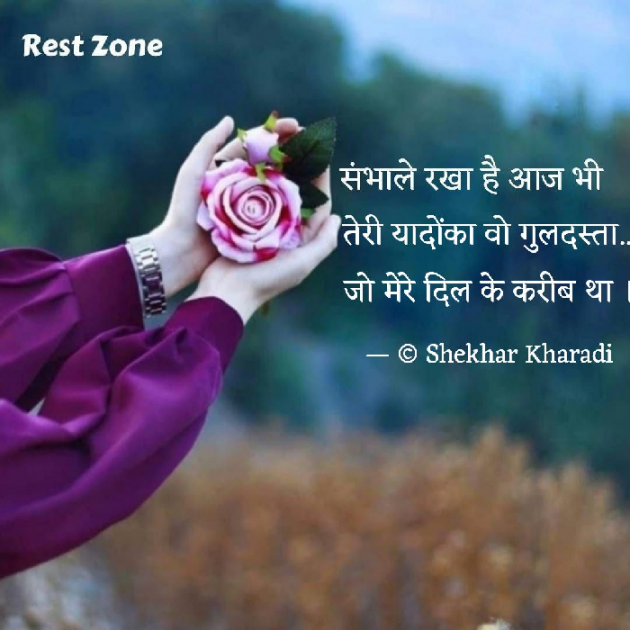 Hindi Blog by shekhar kharadi Idriya : 111694926