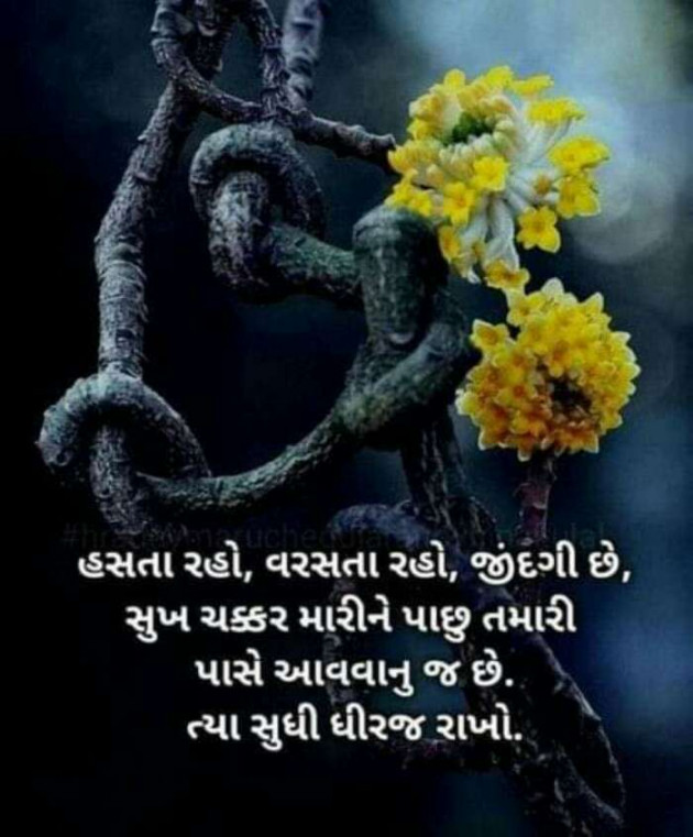 Hindi Whatsapp-Status by Haresh Shah : 111695348