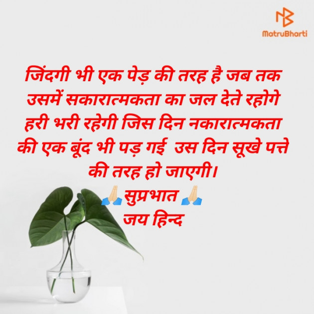 Hindi Good Morning by Vipin Prajapati ‍️‍️‍️‍️‍️‍ : 111695799