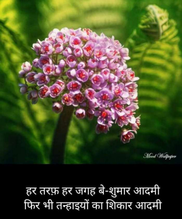 Hindi Blog by Kumar Rahman : 111695827