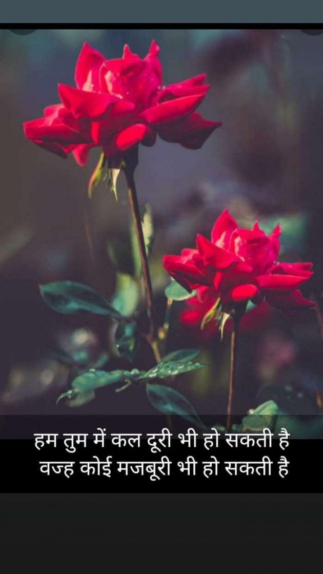 Hindi Blog by Kumar Rahman : 111696370