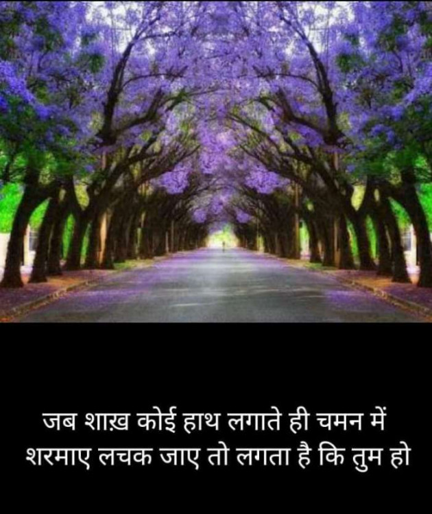 Hindi Blog by Kumar Rahman : 111697360