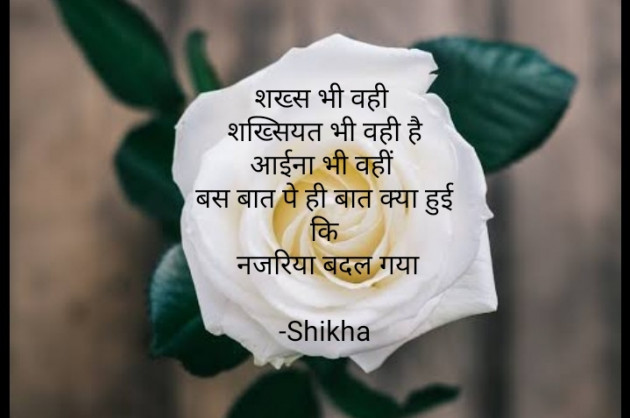 Hindi Blog by Shikha : 111697532