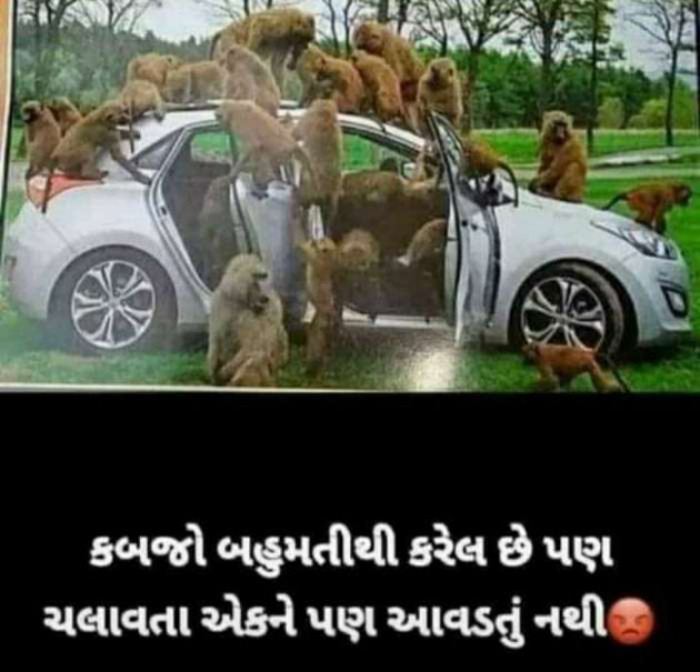 Gujarati Jokes by Megha : 111698156