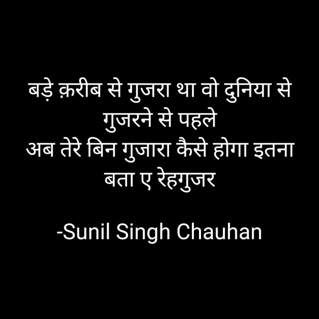 Hindi Blog by Sunil Singh Chauhan : 111698181