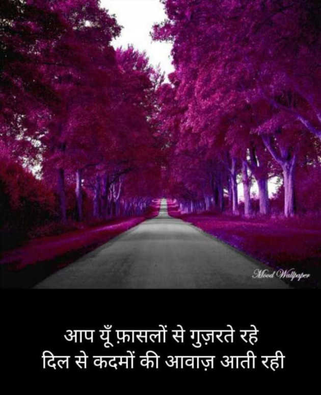 Hindi Blog by Kumar Rahman : 111698256