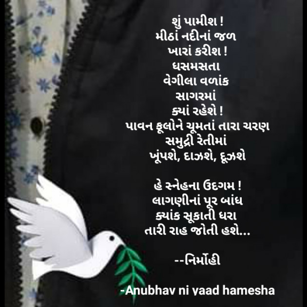 Gujarati Good Night by Anubhav ni yaad hamesha : 111699987