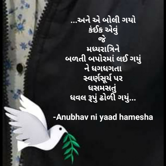 Gujarati Good Night by Anubhav ni yaad hamesha : 111700482