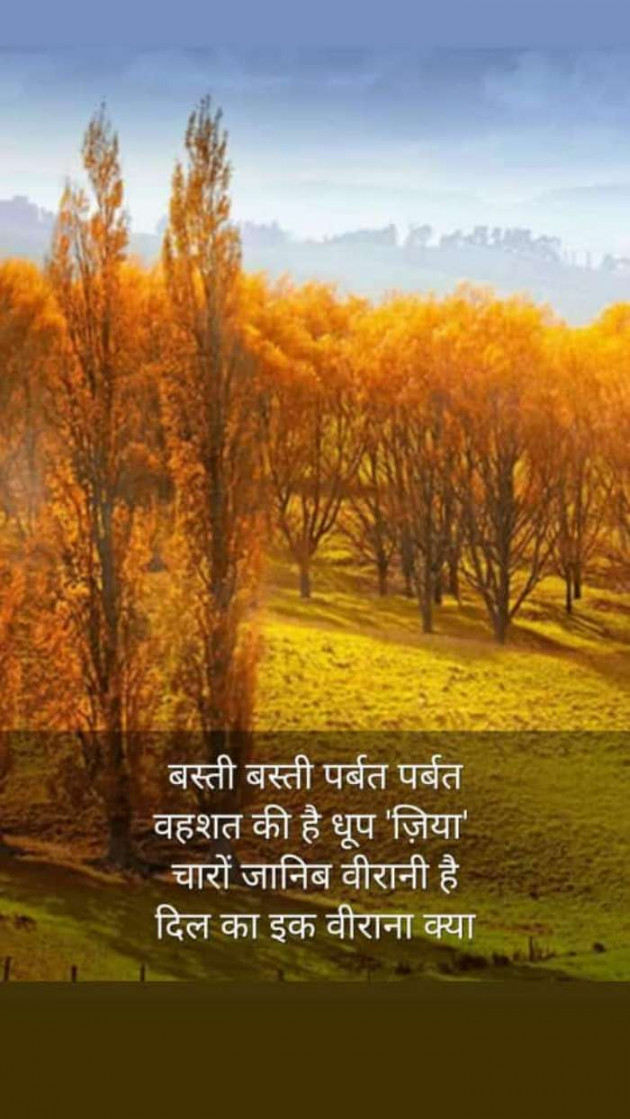 Hindi Blog by Kumar Rahman : 111700537