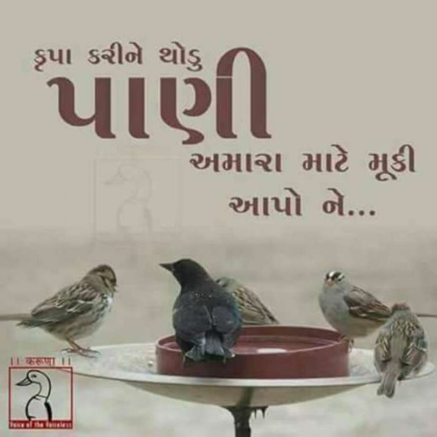 Gujarati Blog by Raj : 111700781