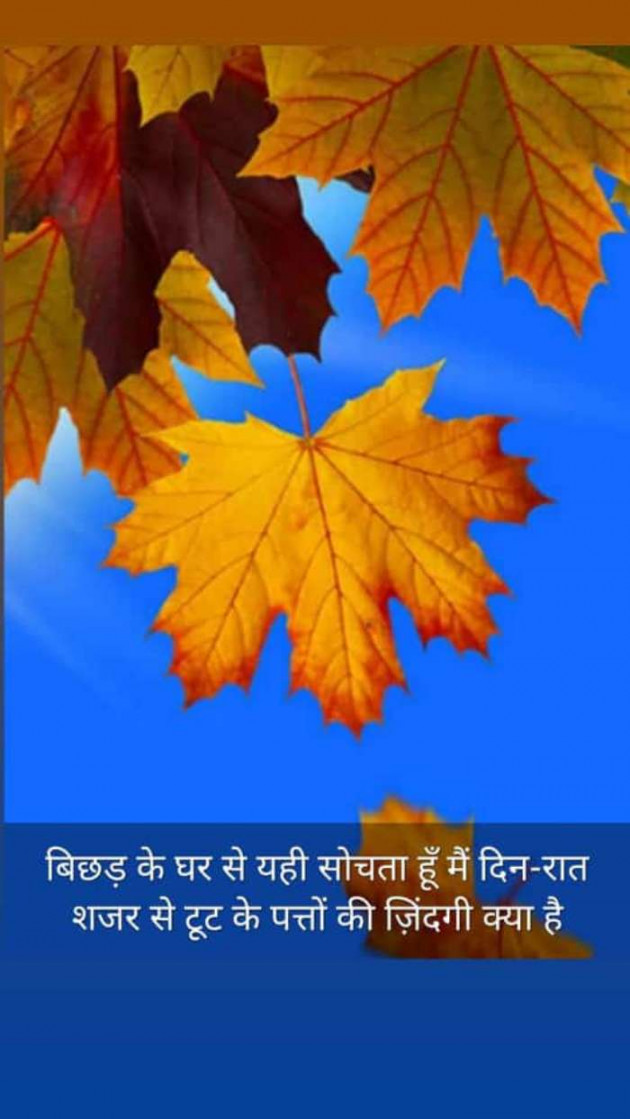 Hindi Blog by Kumar Rahman : 111701054