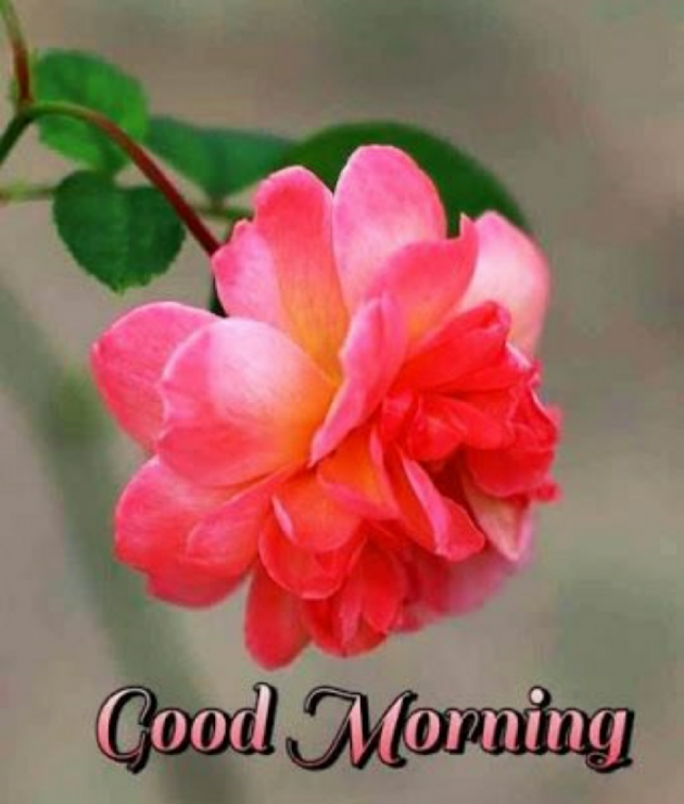 English Good Morning by Ashish9 : 111701506