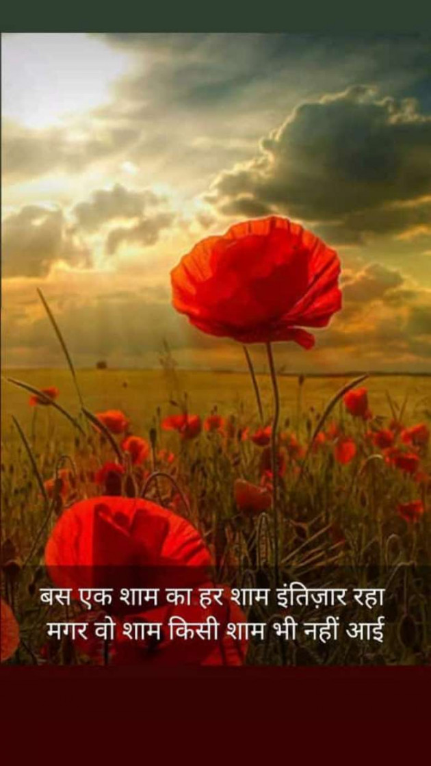 Hindi Blog by Kumar Rahman : 111701551