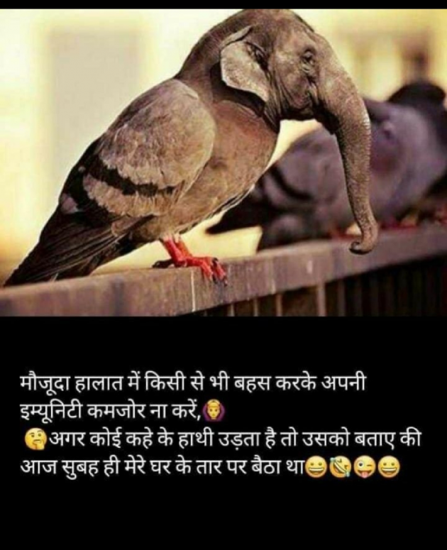 Hindi Motivational by Astha S D : 111701823