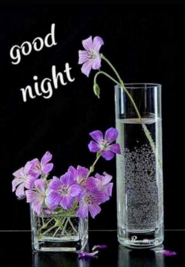 English Good Night by Ashish9 : 111701978