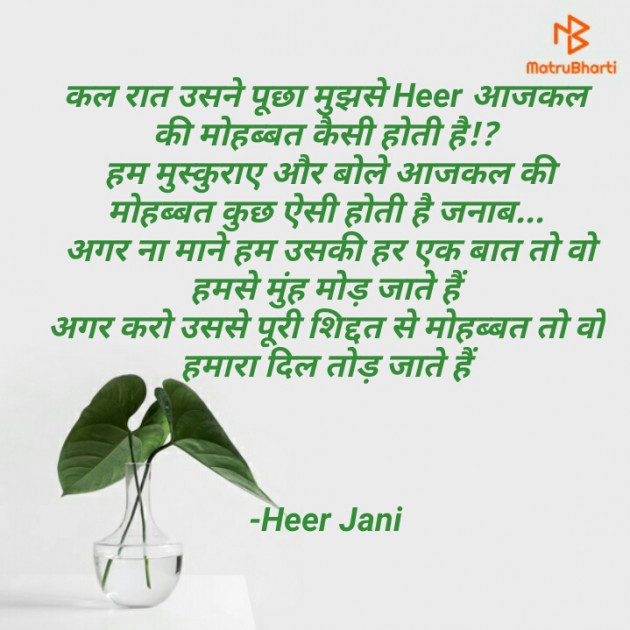 Hindi Blog by Heer Jani : 111702087