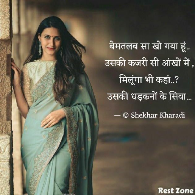 Hindi Blog by shekhar kharadi Idriya : 111702105