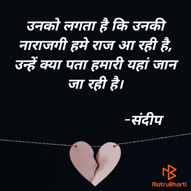 Hindi Blog by Sandeep Patel : 111702416