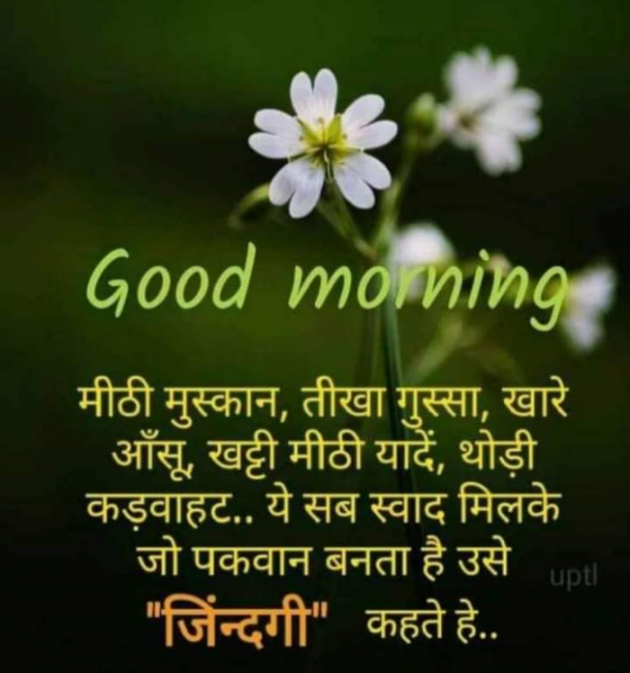 Hindi Good Morning by SUBHASH : 111702580