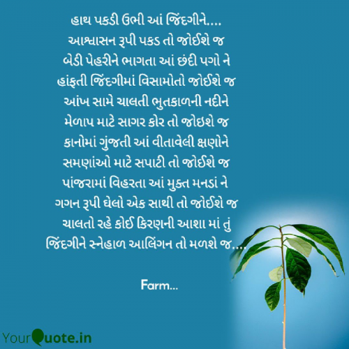 Post by Fatema Chauhan Farm on 07-May-2021 07:44pm