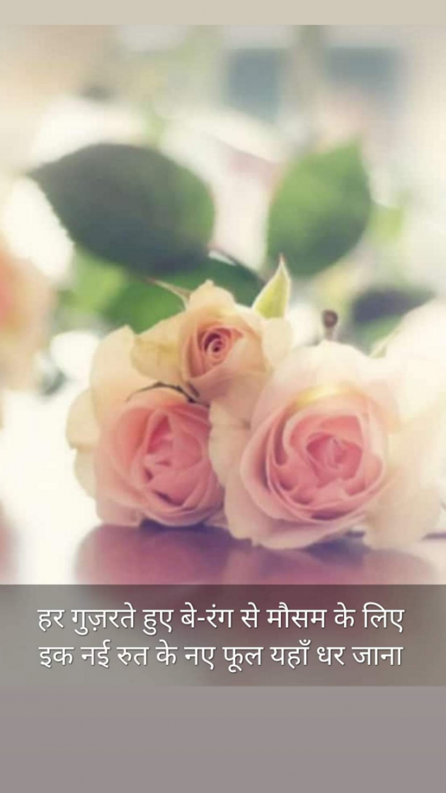 Hindi Blog by Kumar Rahman : 111702933