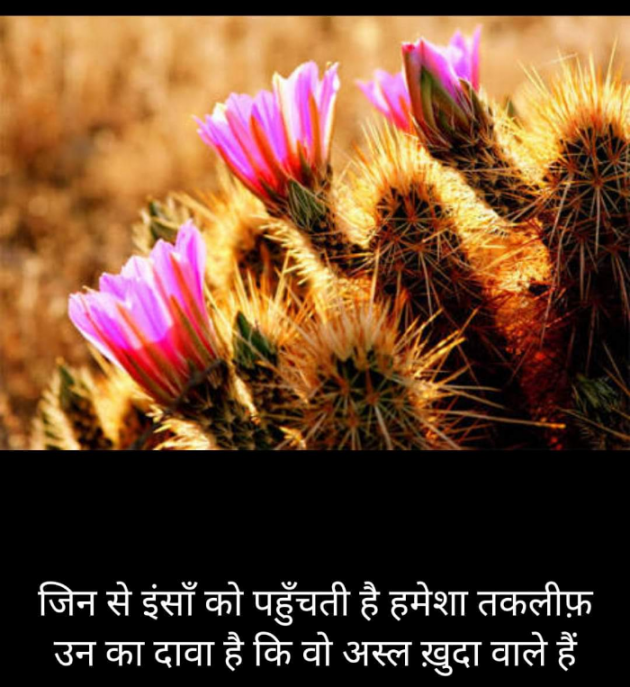 Hindi Blog by Kumar Rahman : 111703411