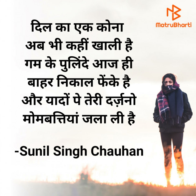 Hindi Blog by Sunil Singh Chauhan : 111704267