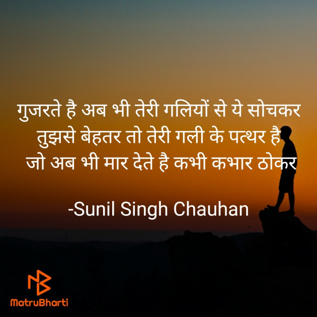 Hindi Blog by Sunil Singh Chauhan : 111704270