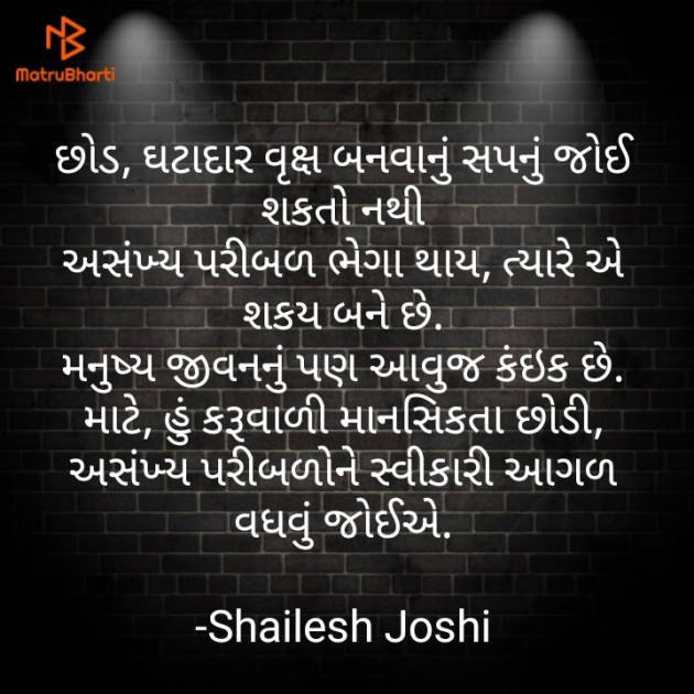 Gujarati Thought by Shailesh Joshi : 111704275