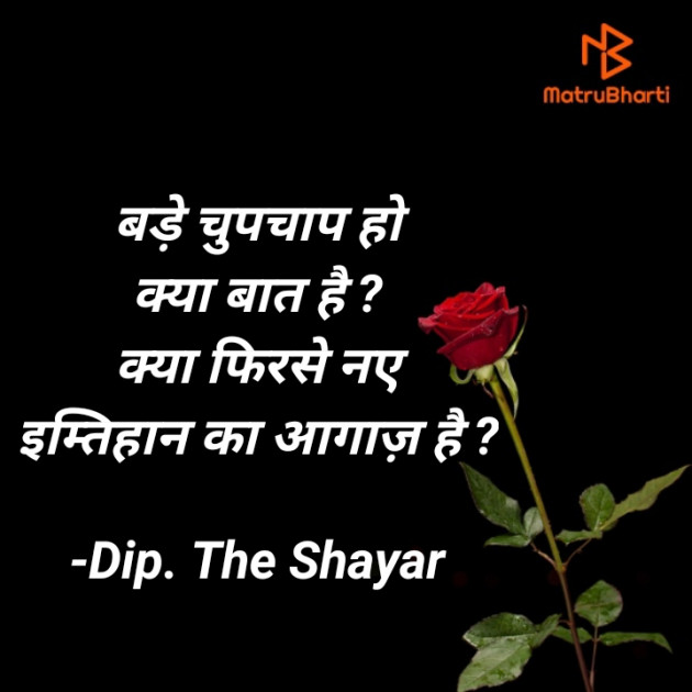 Hindi Shayri by Dip. The Shayar : 111704378