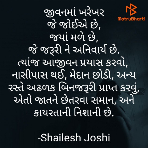 Gujarati Thought by Shailesh Joshi : 111704486