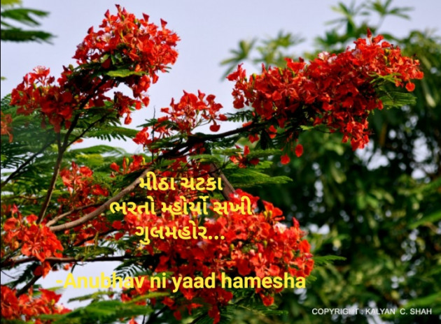 Gujarati Hiku by Anubhav ni yaad hamesha : 111704590