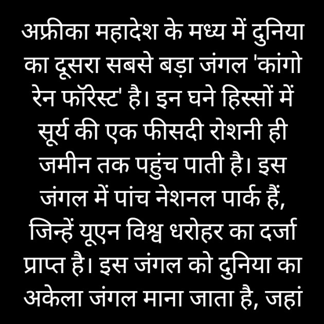 Hindi Blog by Dangodara mehul : 111704698