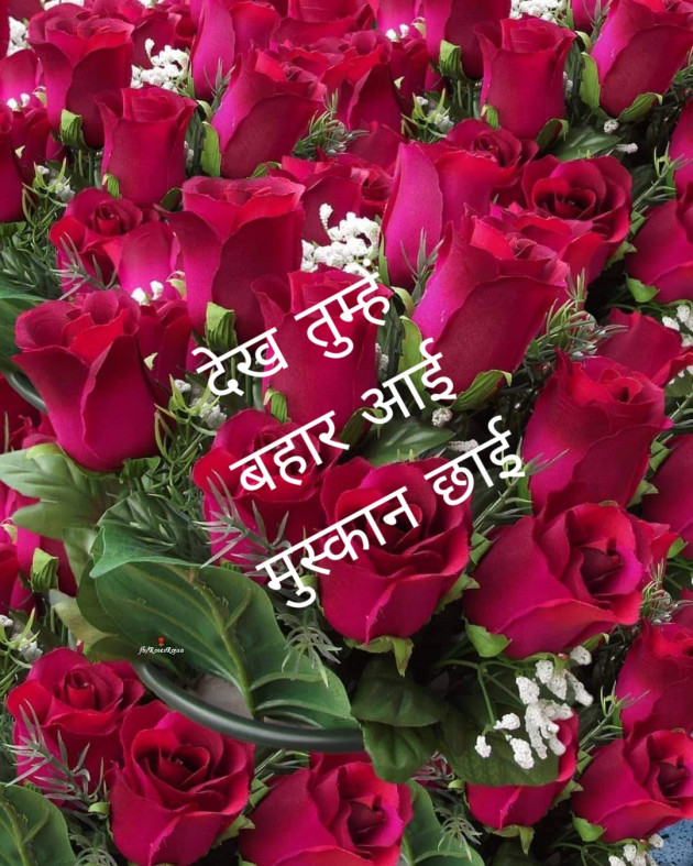 Hindi Quotes by Pranava Bharti : 111705032