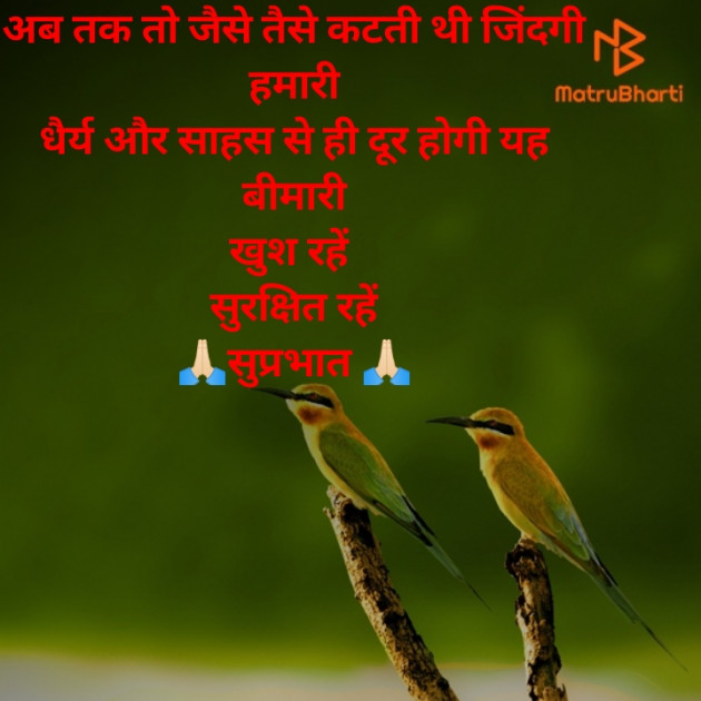 Hindi Good Morning by Vipin Prajapati ‍️‍️‍️‍️‍️‍ : 111705200