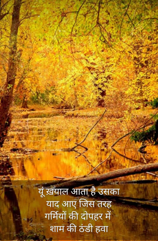 Hindi Blog by Kumar Rahman : 111705225