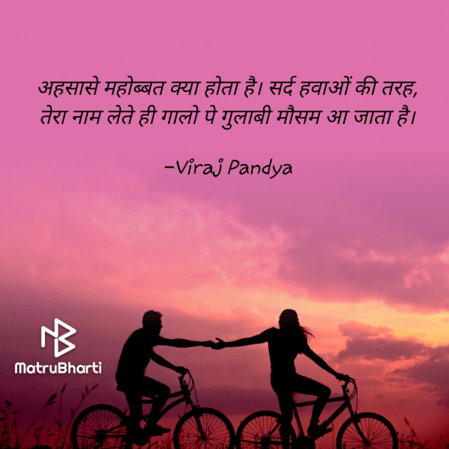 Hindi Romance by Viraj Pandya : 111705308