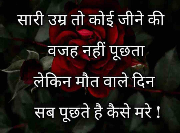 Hindi Whatsapp-Status by Pushpendra Kaushal : 111705590