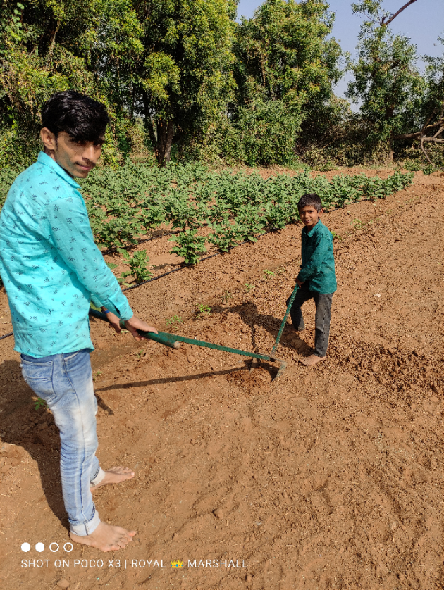 Hindi Blog by Harsh Parmar : 111705788