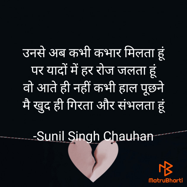 Hindi Blog by Sunil Singh Chauhan : 111705927