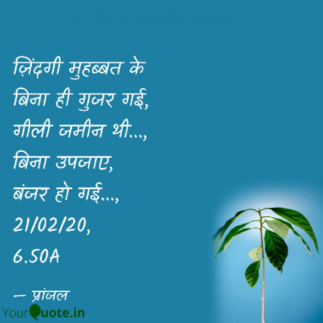 Hindi Poem by Pranjal Shrivastava : 111706050