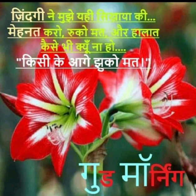 Gujarati Thought by Vishnu Dabhi : 111706304